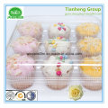 Clear Pet Rigid Film for Mini Muffin Tray with Closure